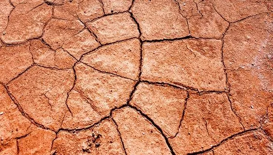 Clasificación del Suelo